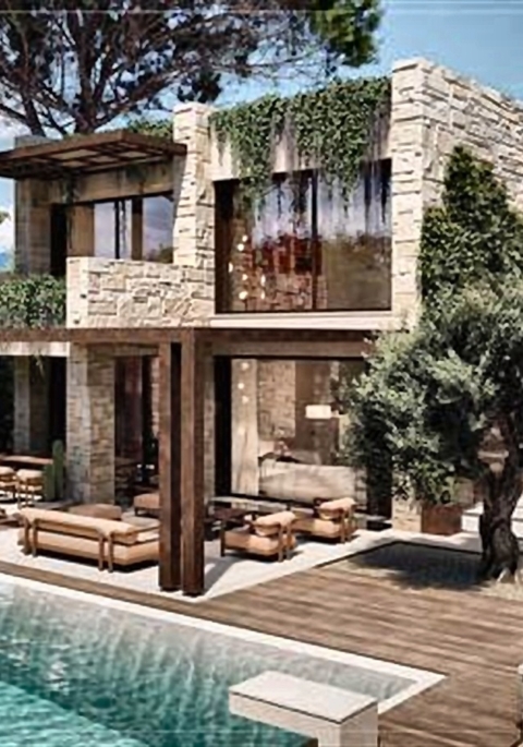 Rendering of the proposed villa and pool, front view