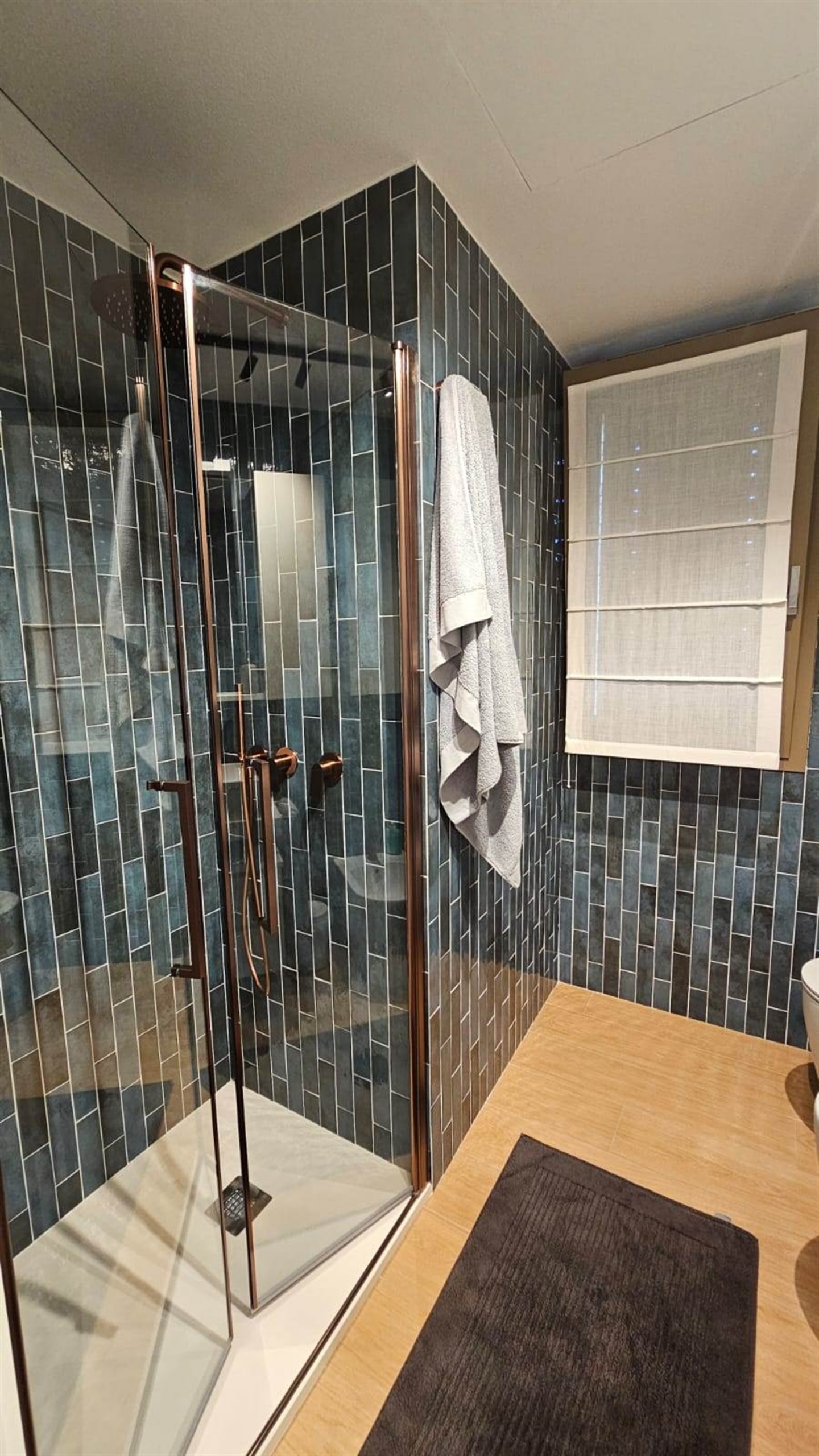 Bathroom shower, detail