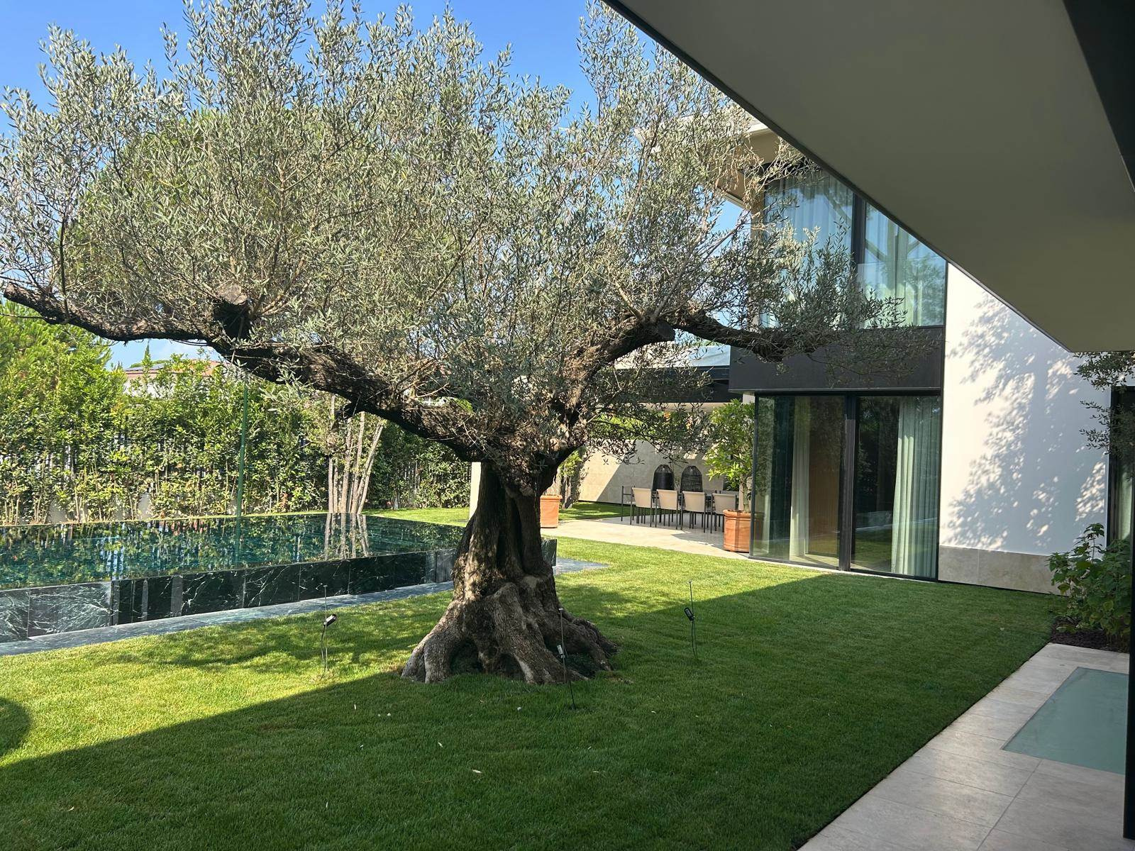 Contemporary Villa with Private Pool and Rooftop Terrace in Forte dei Marmi